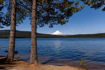 Mount Hood vanaf Lake Timothy, Oregon, Verenigde Staten van Adelheid Smitt