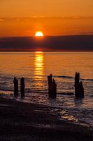 Groyne on shore of the Baltic Sea
