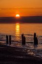 Groyne on shore of the Baltic Sea by Rico Ködder thumbnail