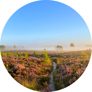Pad in een heidelandschap tijdens zonsopgang