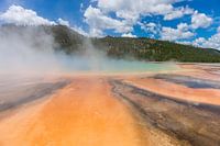 Yellowstone Geyser 004