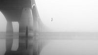 Stadsbrug De Oversteek in de mist