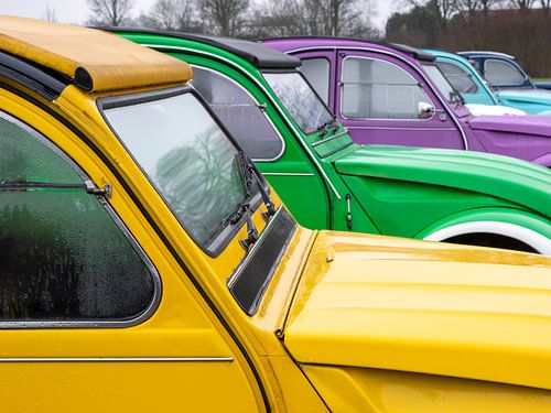 Citroën 2CV's in een rijtje