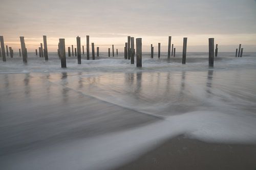 Palendorp bij Petten