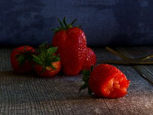 Zomerkoninkjes, wachtend tot ze worden opgegeten