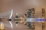 Skyline van Rotterdam in de nacht. van Ad Van Koppen Fotografie thumbnail