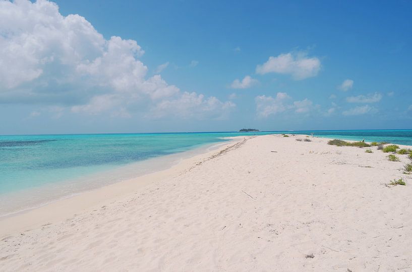 Idyllic virgin island in the Caribbean by Carolina Reina Photography