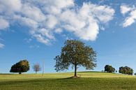 Rustgevend groen landschap met helder blauwe lucht van Pieter Wolthoorn thumbnail