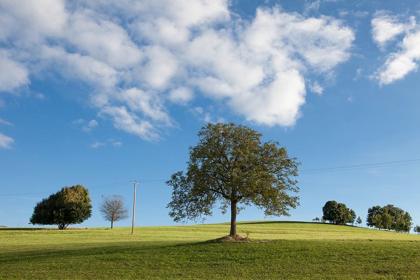 Rustgevend groen landschap met helder blauwe lucht van Pieter Wolthoorn