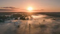 Beautiful sunrise at the edge of the forest.