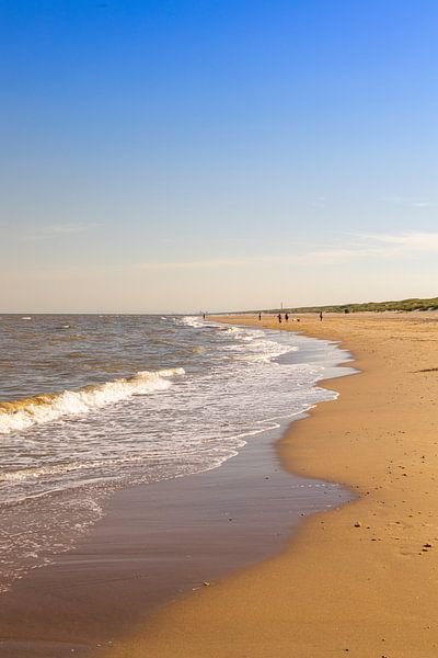 STrand by Michael Ruland