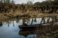 Knotwilgen spiegeling van Henriëtte Wanders thumbnail