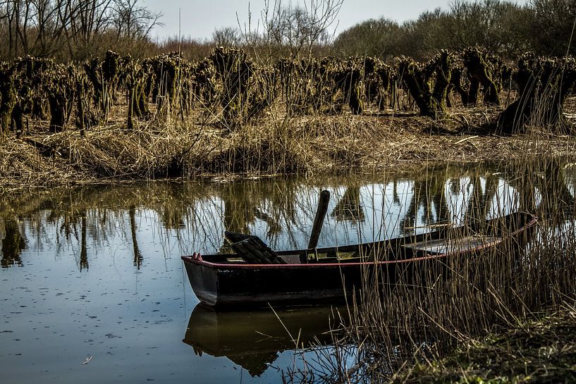 Le saule têtard en miroir par Henriëtte Wanders