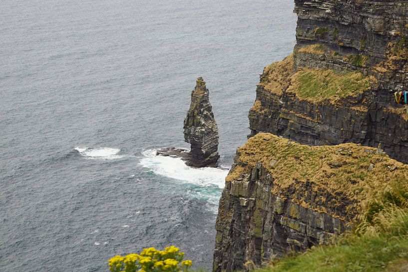 Cliff's of Moher - Irland von Babetts Bildergalerie