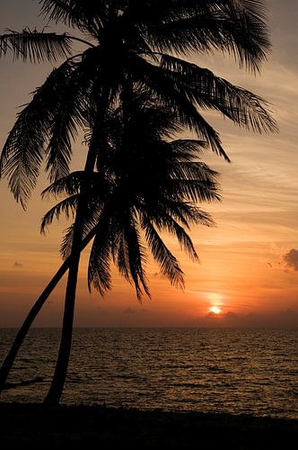 Tropischen Sonnenuntergang