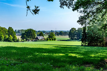 Prairie près de la « Bergherbos »