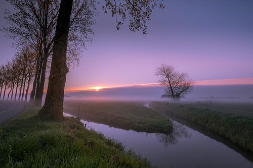 Polderlandschap in de Betuwe