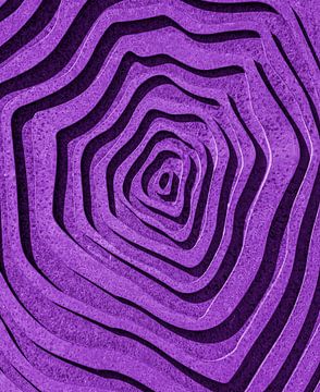 Purple Maze, Wayne Pearson by 1x