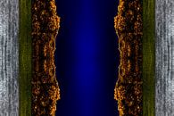 Abstract Aerialphoto of a river in the middle of a forest during autum by Jan Hermsen thumbnail