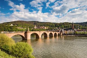 Heidelberg op de Neckar van Michael Valjak