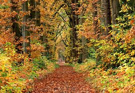 Bleijenbeek Estate - Afferden by Guus Rameckers