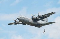 Lockheed C-130 Hercules transport plane