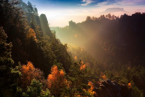 November morning in Saxon Switzerland
