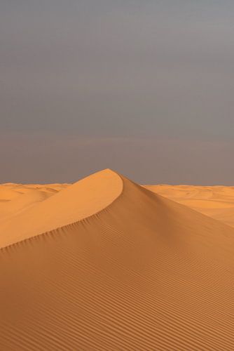Zonsondergang in de Sahara