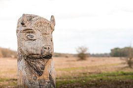 Wooden landmark in the maashorst. A Wisent carved from wood by Marc van den Elzen