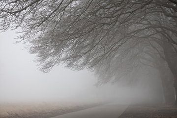 Kleine wereld op de Veluwe