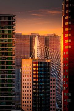 Sunrise between Rotterdam’s high-rise buildings