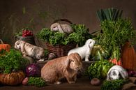 The greengrocer's shop by Elles Rijsdijk thumbnail