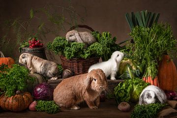 La boutique du marchand de légumes sur Elles Rijsdijk