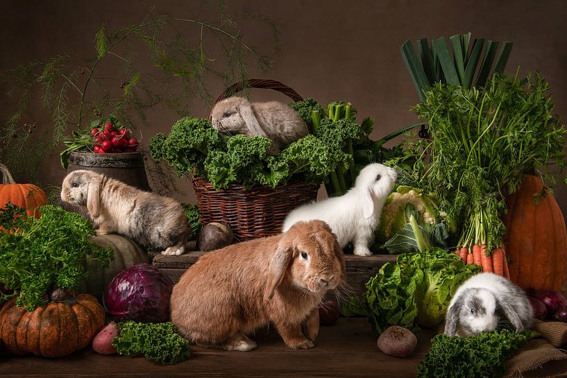 The greengrocer's shop by Elles Rijsdijk