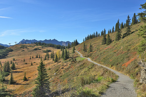Planai mountain path winding through autumn landscape
