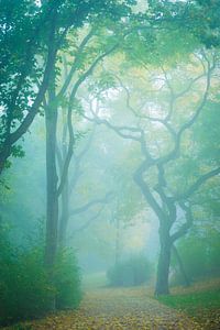 Herbst im Park