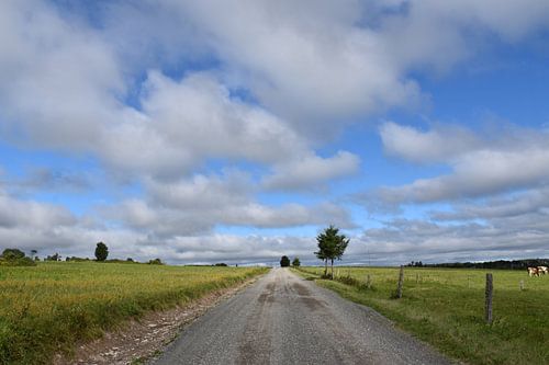 Een plattelandsweg in de lente