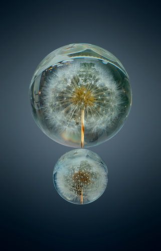 Pluisjes in een bal. 8