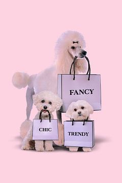 Fashion Dogs van Jonas Loose