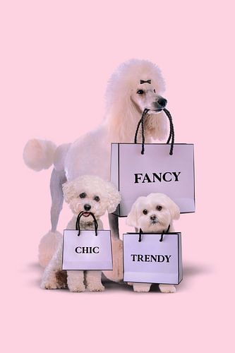Fashion Dogs by Jonas Loose