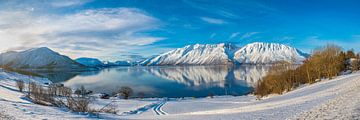 Noors fjord in de winter van Menno van der Haven