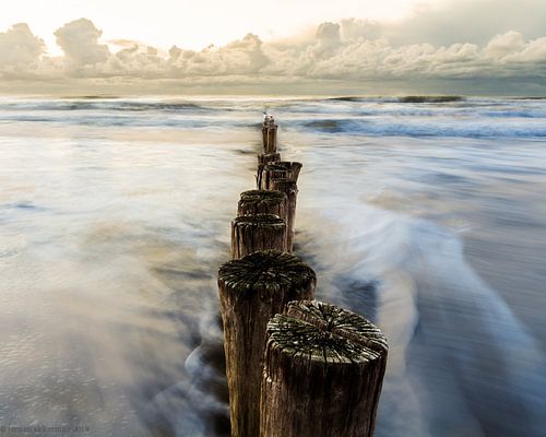 De palen van Schoorl kalmte