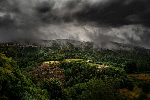 im Sturm von Britt Spee