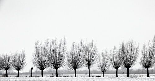 L'hiver en Hollande8