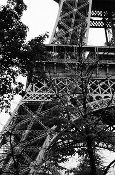 Parijs - Eiffeltoren door de bomen heen - Zwart-Wit van Eline Willekens