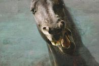 Paard aan de muur 2 van Wybrich Warns thumbnail