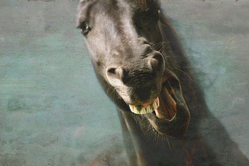 Paard aan de muur 2