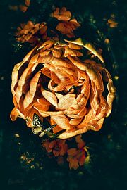 Peony Tulip with a watching bird. by Helga Blanke