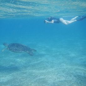 Iris Timmermans Profile picture