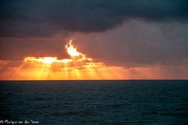 Sunbeams by Monique van der Steen